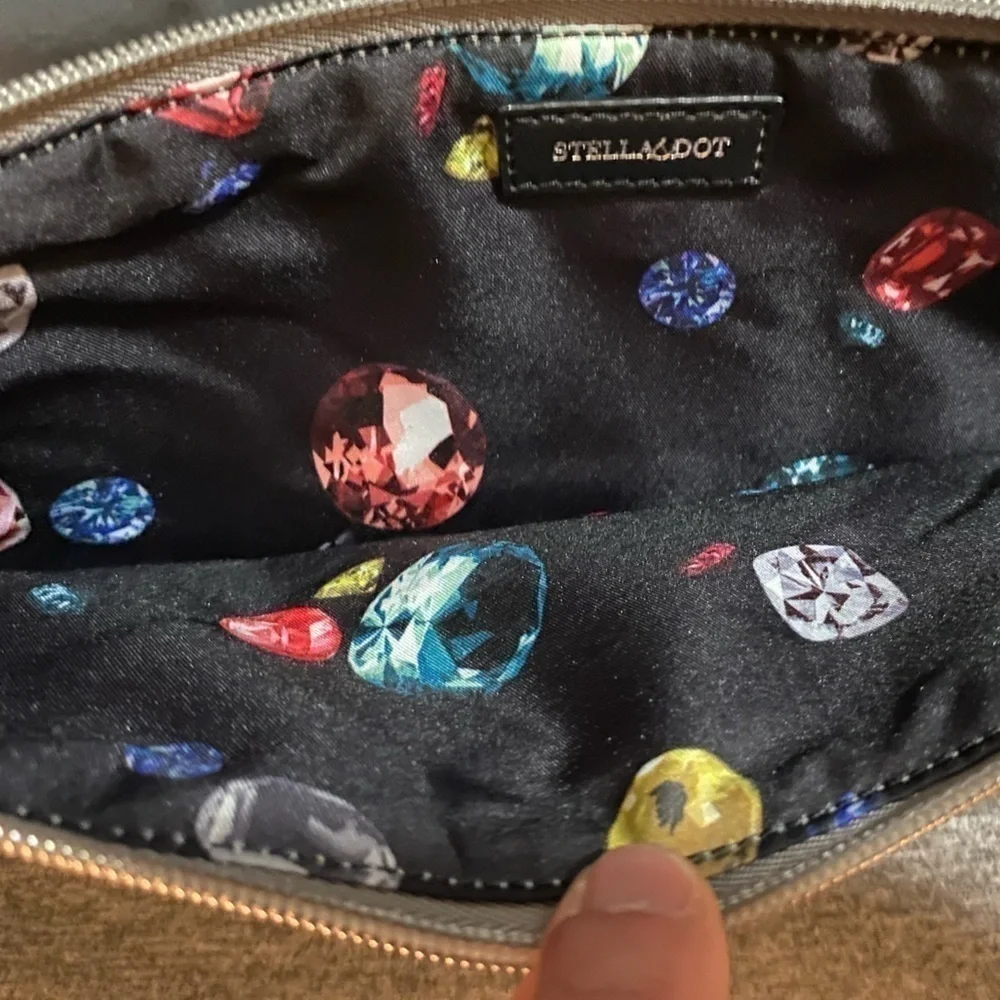 STELLA and Dot clutch